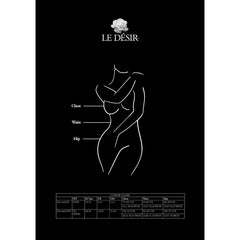 Le Désir - Lace Suspender Bodystocking - Black
