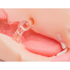 XTC Japan – NUPU 3 Masturbator – Dual Opening Design