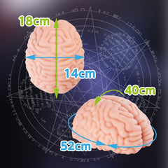 XTC Japan – Brain Hacker DX Masturbator – Peach