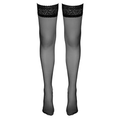 Cottelli Collection - Hold-Up Stockings with Lace - Black