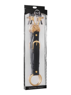 Penitentiary Nipple Clamps and Cock Ring Set