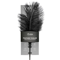 Easytoys Fetish - Black Feather Tickler