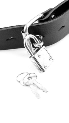 Deluxe Ball Gag with Dildo