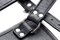 Master Series - Ass Holster Anal Plug Harness
