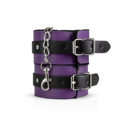 Secret Pleasure Chest X Bedroom fantasies - Purple Apprentice