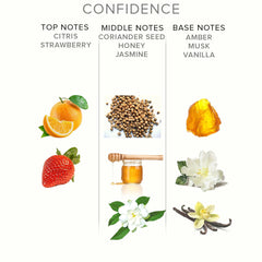 EOL - PHR Pheromone Perfume Confidence Deluxe - Male/Female