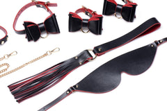 Master Series - Luxury BDSM Set With Travel Bag