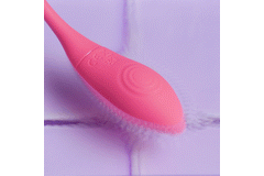 EasyConnect - Vibrating Egg Aria app-controlled