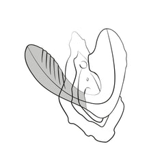 ROMP by Womanizer - Reverb Double Pleasure 2 in 1