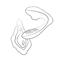 ROMP by Womanizer - Reverb Double Pleasure 2 in 1
