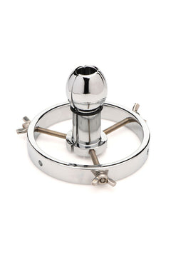 Master Series - Stainless Steel Anal Explorer