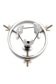 Master Series - Stainless Steel Anal Explorer