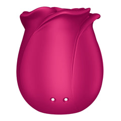 Satisfyer Pro 2 Classic Blossom