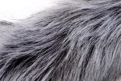 TAILZ - Grey Wolf Tail Plug & Ears Set