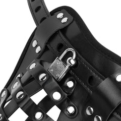 Bedroom Fantasies - Chastity Cage Jock - Black